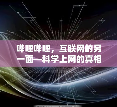 哔哩哔哩，互联网的另一面—科学上网的真相