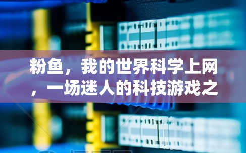 粉鱼，我的世界科学上网，一场迷人的科技游戏之旅