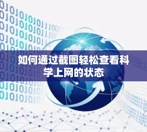 如何通过截图轻松查看科学上网的状态