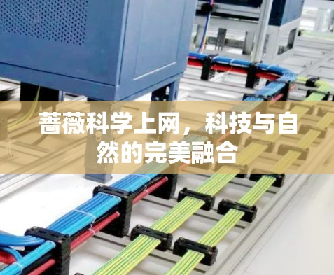 蔷薇科学上网，科技与自然的完美融合