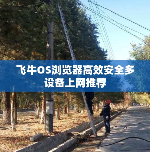 飞牛OS浏览器高效安全多设备上网推荐 飞牛OS浏览器高效安全多设备上网推荐