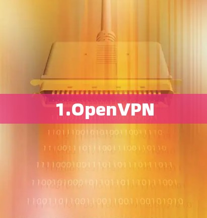 1.OpenVPN 1.OpenVPN