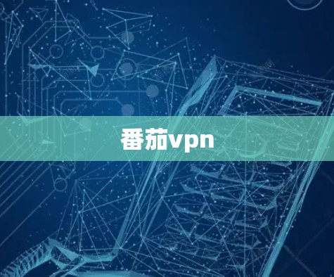番茄vpn 番茄vpn