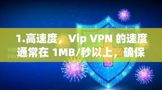 1.高速度，Vip VPN 的速度通常在 1MB/秒以上，确保了用户的网络性能