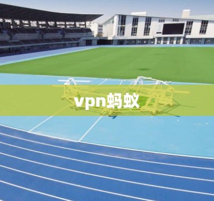 vpn蚂蚁