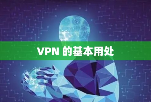 VPN 的基本用处 VPN 的基本用处