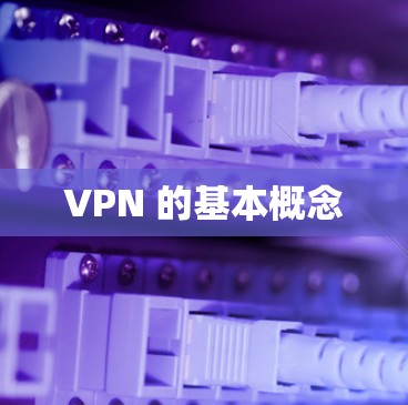 VPN 的基本概念 VPN 的基本概念