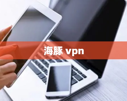 海豚 vpn 海豚 vpn