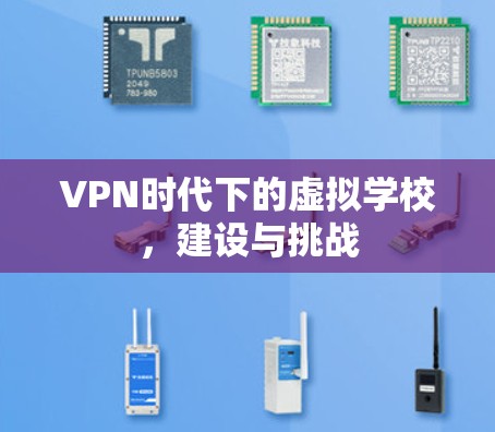 VPN时代下的虚拟学校，建设与挑战