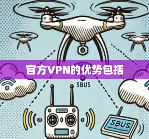 官方VPN的优势包括