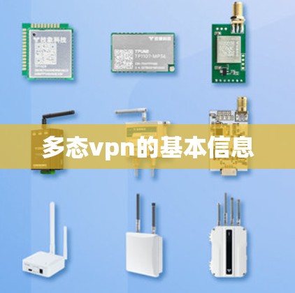多态vpn的基本信息
