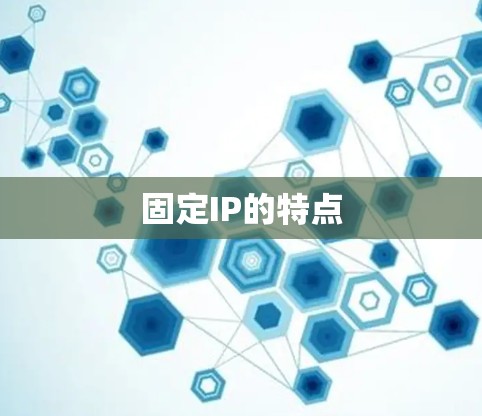 固定IP的特点 固定IP的特点