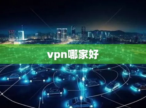vpn哪家好