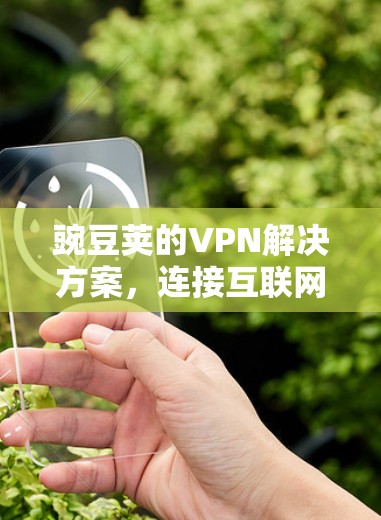 豌豆荚的VPN解决方案，连接互联网的便捷之路