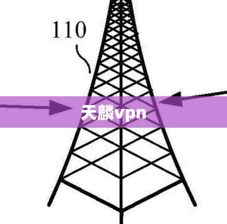 天麟vpn