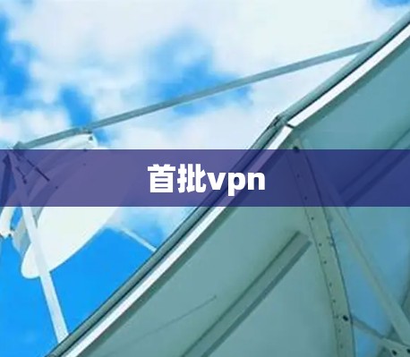 首批vpn 首批vpn