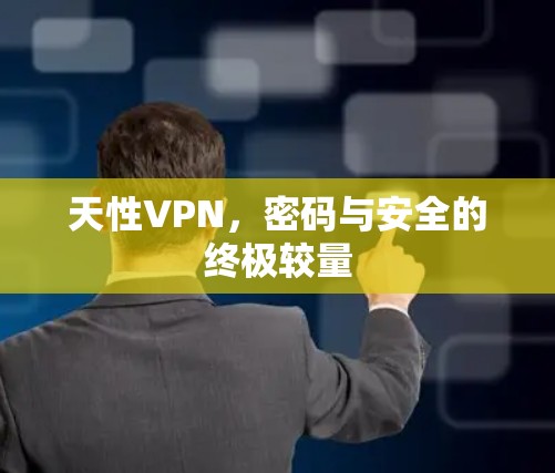 天性VPN,密码与安全的终极较量 天性VPN,密码与安全的终极较量