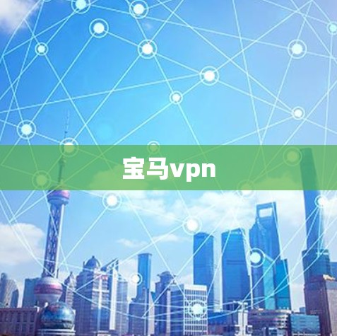 宝马vpn