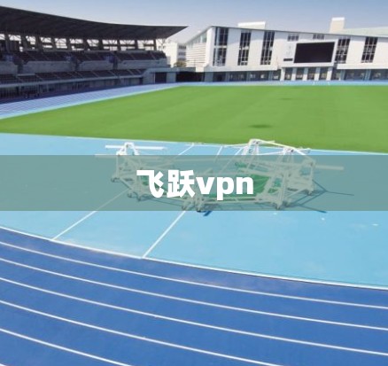 飞跃vpn