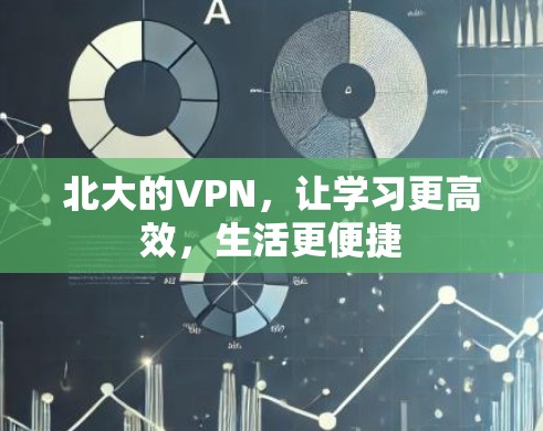 北大的VPN，让学习更高效，生活更便捷