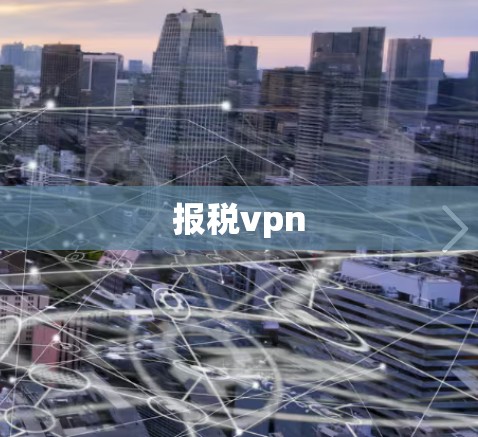 报税vpn