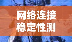 网络连接稳定性测试方案 网络连接稳定性测试方案