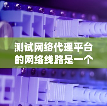 测试网络代理平台的网络线路是一个系统工程，涉及多个方面和步骤。以下是分步骤的指南，帮助您全面测试网络性能