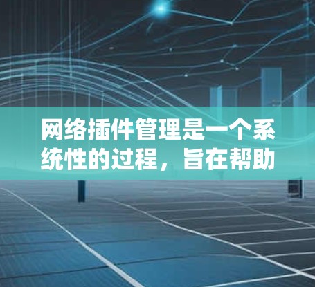 网络插件管理是一个系统性的过程，旨在帮助用户在互联网上高效地使用或扩展软件功能。以下是对网络插件管理的详细总结
