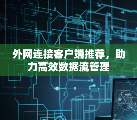 外网连接客户端推荐，助力高效数据流管理