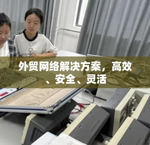 外贸网络解决方案，高效、安全、灵活