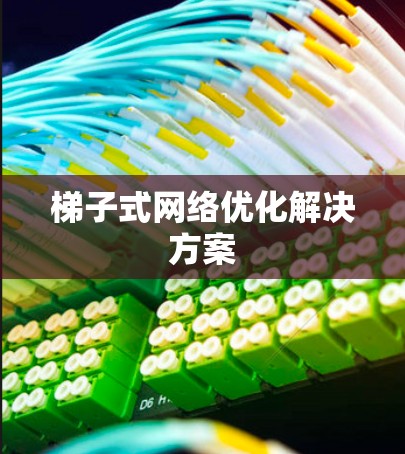 梯子式网络优化解决方案 梯子式网络优化解决方案