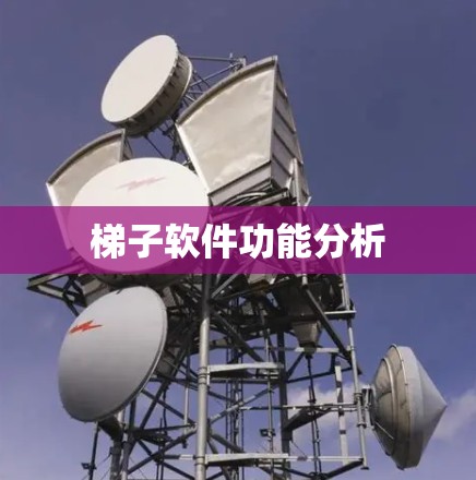 梯子软件功能分析