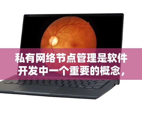 私有网络节点管理是软件开发中一个重要的概念，涉及多个方面，包括节点的生命周期、通信协议、资源管理、性能优化和安全性措施。以下是对该主题的分步总结