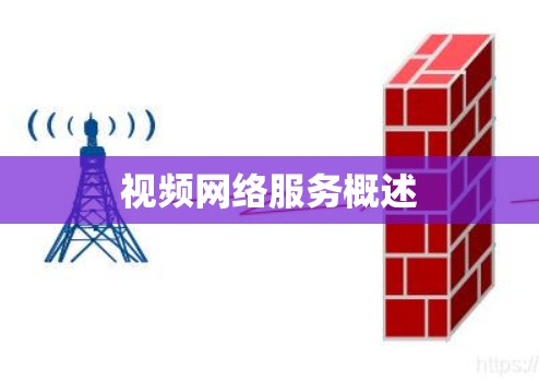视频网络服务概述