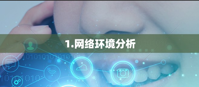 1.网络环境分析 1.网络环境分析