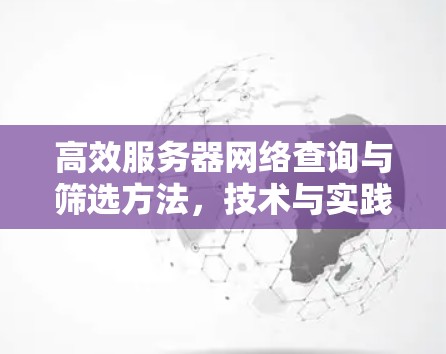 高效服务器网络查询与筛选方法,技术与实践解析 高效服务器网络查询与筛选方法,技术与实践解析