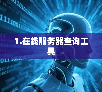 1.在线服务器查询工具 1.在线服务器查询工具