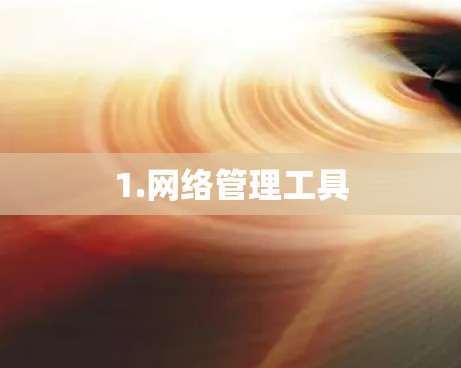 1.网络管理工具 1.网络管理工具