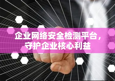 企业网络安全检测平台，守护企业核心利益