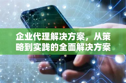企业代理解决方案，从策略到实践的全面解决方案