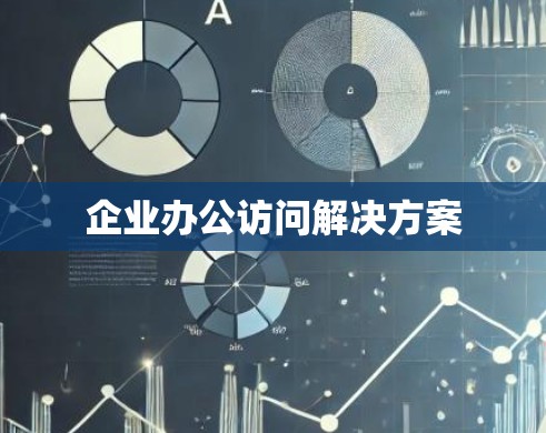 企业办公访问解决方案