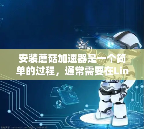 安装蘑菇加速器是一个简单的过程，通常需要在Linux系统上进行。以下是一个详细的步骤指南，适用于大多数Linux系统