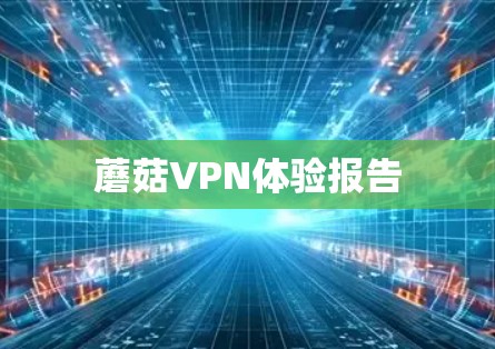 蘑菇VPN体验报告