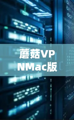 蘑菇VPNMac版，安全可靠，轻松实现VPN