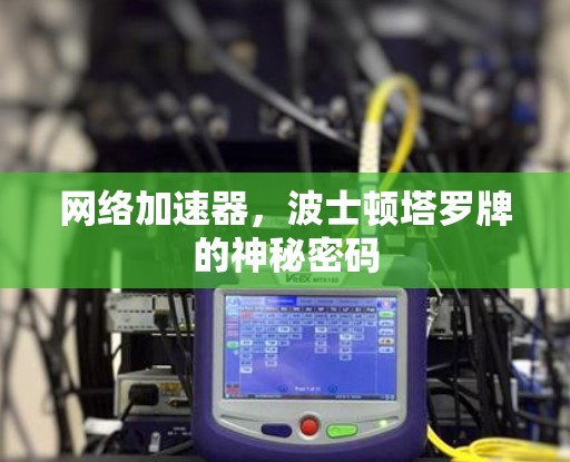 网络加速器,波士顿塔罗牌的神秘密码