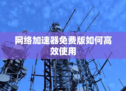 网络加速器免费版如何高效使用