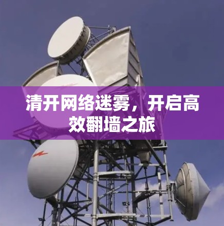 清开网络迷雾,开启高效翻墙之旅