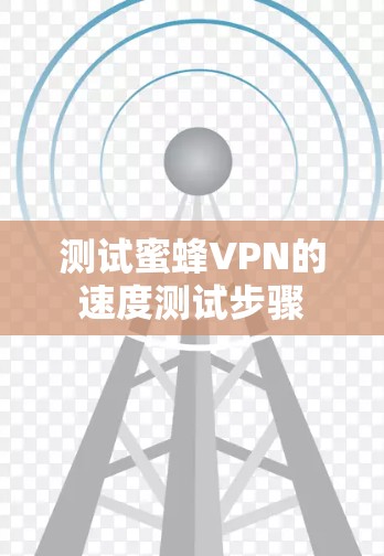 测试蜜蜂VPN的速度测试步骤