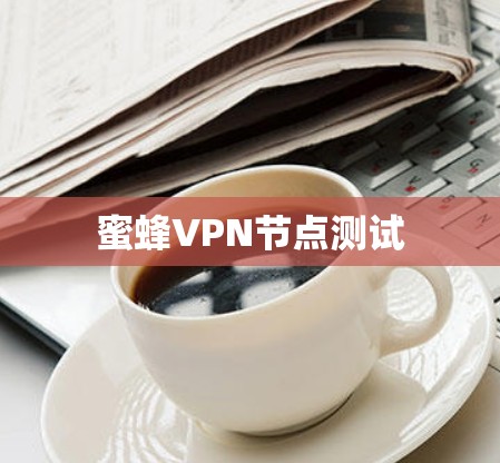 蜜蜂VPN节点测试 蜜蜂VPN节点测试