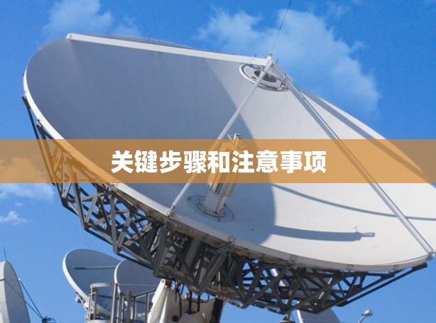 关键步骤和注意事项